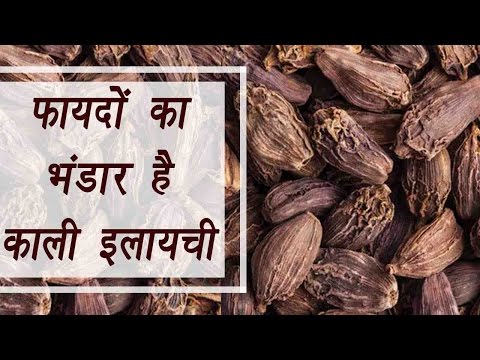 Black Cardamom, काली इलायची | Health benefits | फायदों का