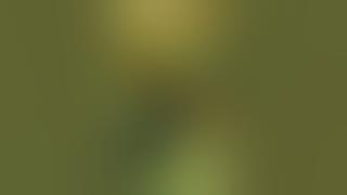 tiktok goyang bokong besar