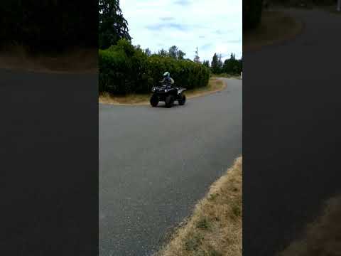 Yamaha Grizzly 660 Top Speed Run On A Twisty Road!