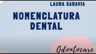 Nomenclatura dental, introducción grupos dentarios, nomenclaturas PALMER, ADA, FDI.