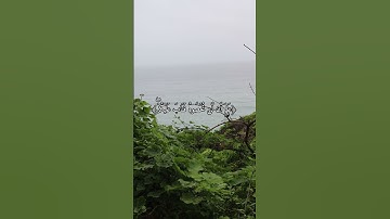 قرآن كريم بصوت القارئ عبدالرحمن مسعد #quran #religion #explore #قرآن #nature #reels #beautiful