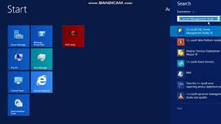 assigning startup parameters in SQL server configuration Manager