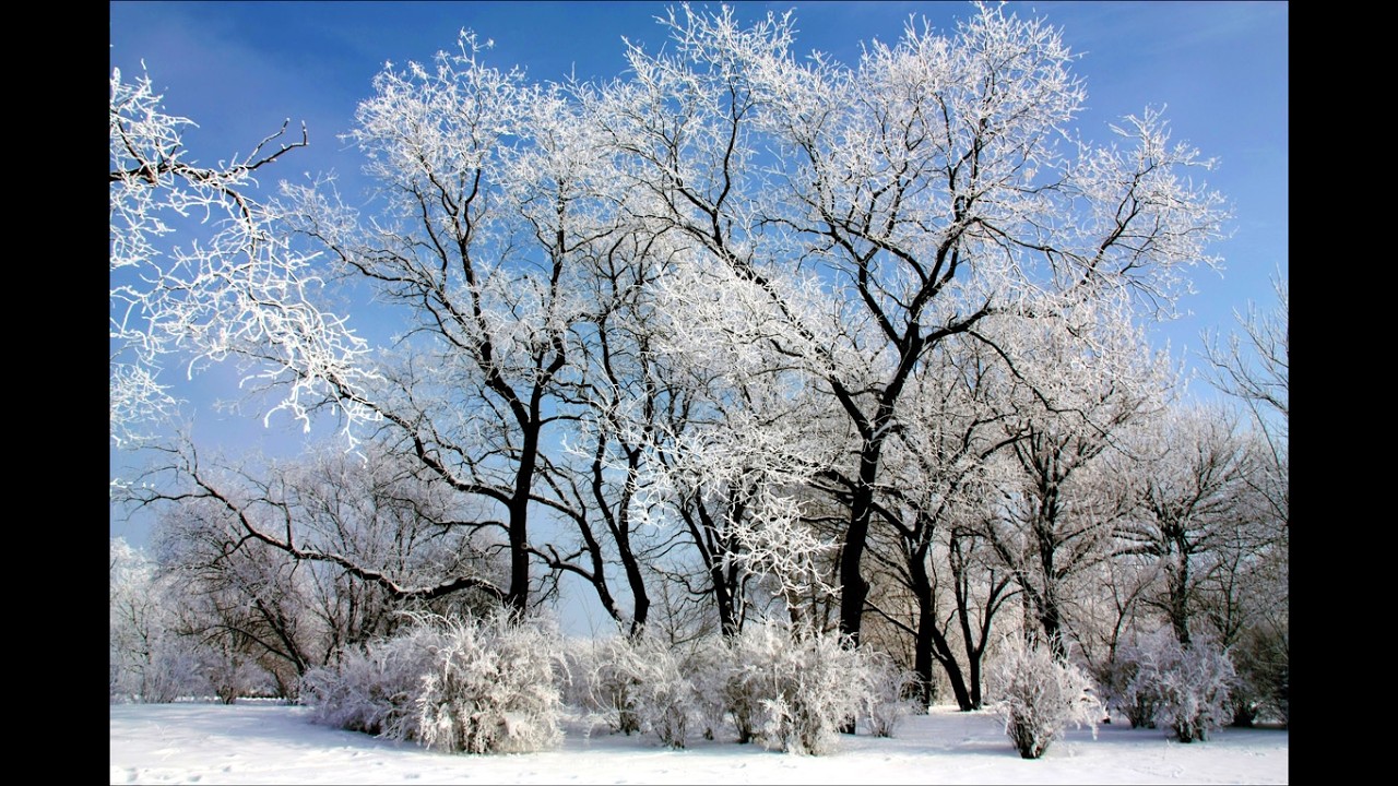 Zăpezile de altădată