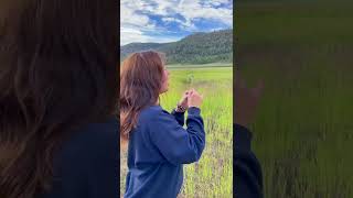 How to Blow a Dandelion😙