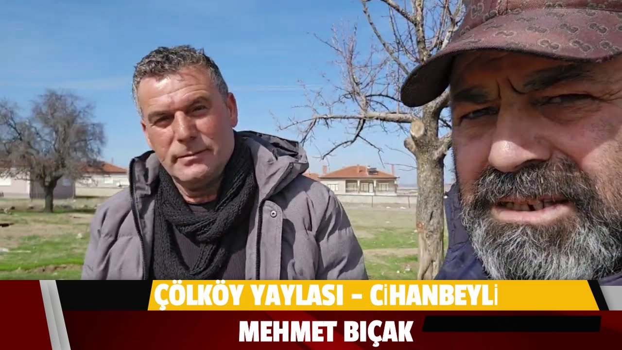 ÇÖLKÖY - CİHANBEYLİ - MEHMET BIÇAK - KÖPEKLERİ MUHTEṢEM