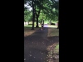 Pitbull and Coonhound Off Leash Heel Best Dog Training in Portland Oregon Pitbull and Coonhound Off Leash Heel Best Dog Training in Portland Oregon
