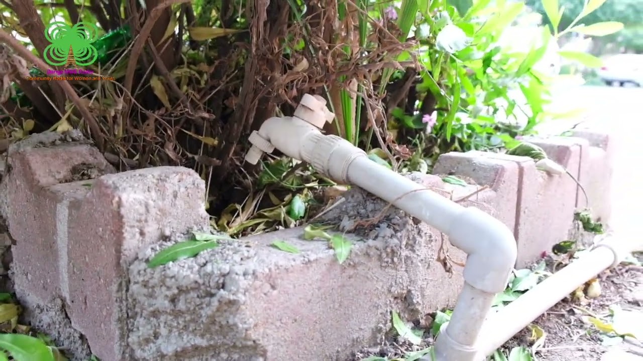 سەوزکردن و خزمەتکردنی پارک و کۆڵانەکان لەلایەن گەنجێکی هەڵەبجەوە بە خۆبەخشی