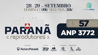 LOTE   57 ANP 3772