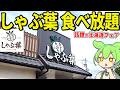 しゃぶ葉で話題の「北海道ラムしゃぶフェア」ってどうなん？大食い検証してきた！【ずんだもん＆ゆっくり解説】