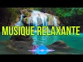 Musique douce relaxante calme  nature relaxation pour bien dormir