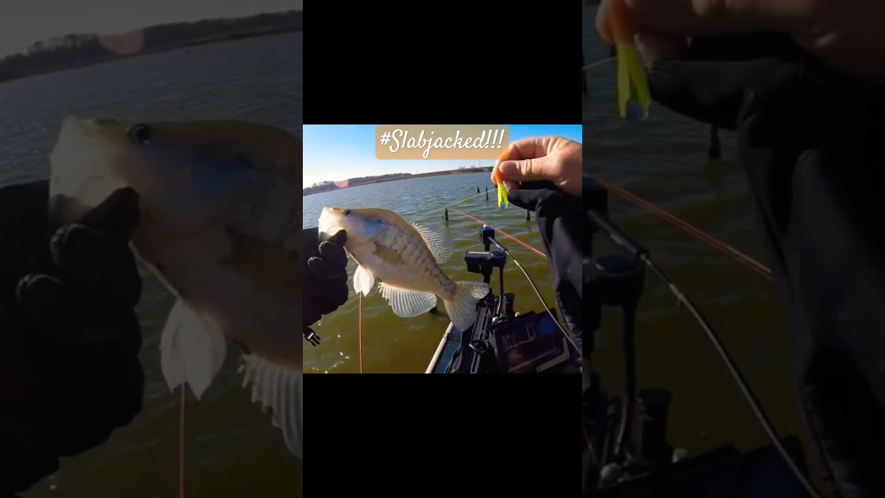 Slab Jacker baits in action at Rend Lake!! #slabjacked #brushpilejigs  #panfishguy. 