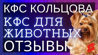 🔥Йоркширский терьер Шерри 9 лет  ▫️ Отзывы о КФС Кольцова ▫️ КФС для животных, копия