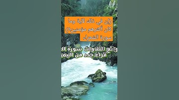 ( إن في ذلك لآية وما كان أكثرهم مؤمنين ) الآية ٨ سورة الشعراء#قناة_تلاوات_قارئ_من_اليمن#لايك