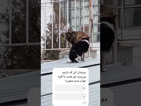 دیده شدن جن در حیاط خانه ما