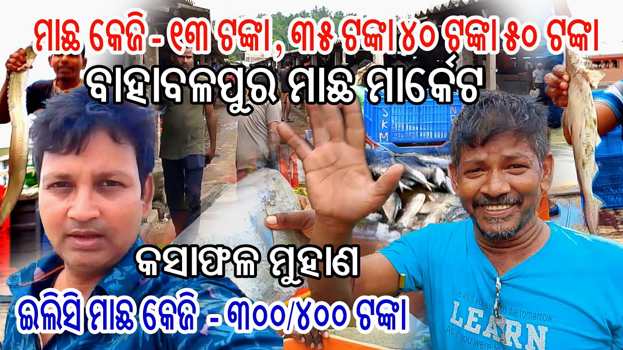 ବାହାବଳପୁର ମାଛ ମାର୍କେଟ II ମାଛ କେଜି - ୧୩  I ଇଲିସି ମାଛ - ୩୦୦ ଟଙ୍କା 😊😊 Gouranga Nayak Odia Vlogs