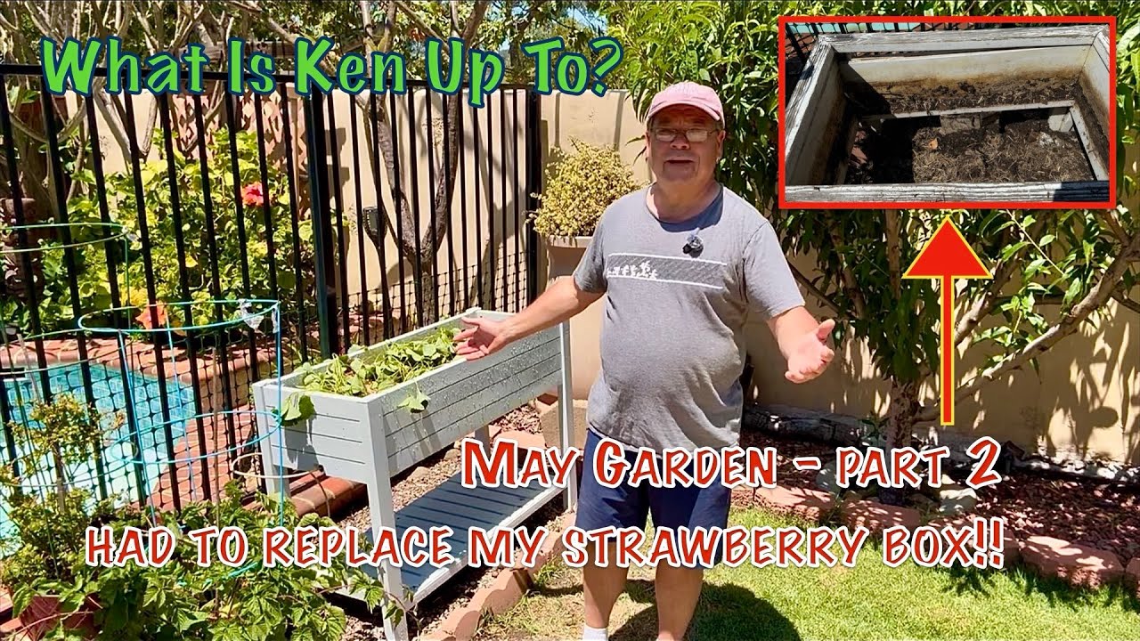 STRAWBERRY BOX FAIL! - YouTube