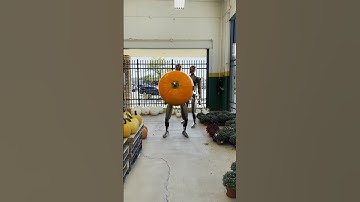 That one?! #3danimation #cinema4d #robots #teslaoptimus #unitreerobotics