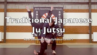 54 JuJutsu Techniques \/ Self Defence Syllabus \/ Traditional Japanese Ju Jutsu Ryu