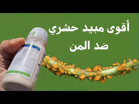 أقوى مبيد حشري للتخلص من حشرة المن في النبات 