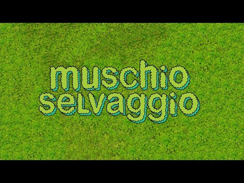 Muschio Selvaggio- Sigla