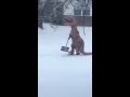 Youtube Thumbnail title