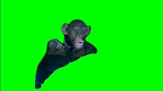 "Oh no" meme | Planet of the Apes | green screen