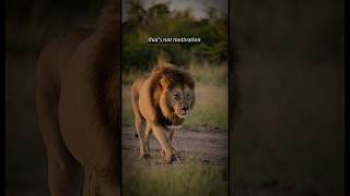 They won’t understand your obsession until it’s too late.#motivation#consistency#mindset #getfocused