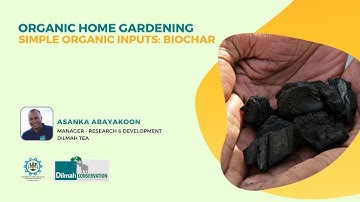 Session 06: Simple Organic Inputs - Biochar