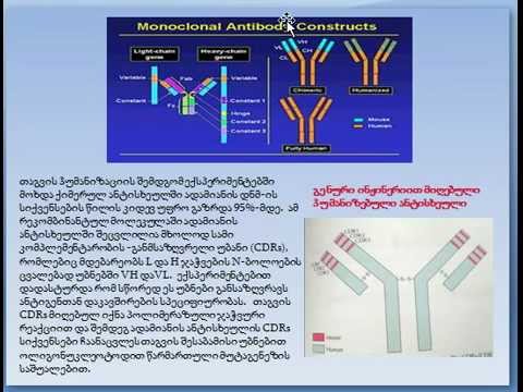 ნელი დათუკიშვილი, ლექცია 9.3.