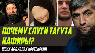 Почему слуги тагута кафиры?