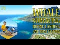 Whale surfacing drone landing on a small boat and rum tasting   ep 170