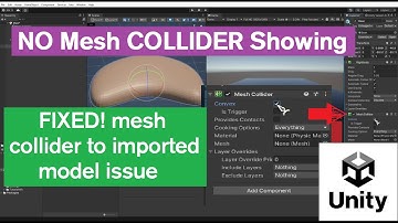 Fixing Mesh Collider Not Showing Issues in Unity 3D: Adding Colliders to Imported Models