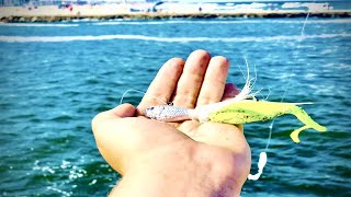 Fishing at the Shark River Inlet for bluefish and fluke (Belmar, NJ)