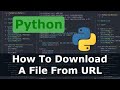 Python - How To Download A File From a URL