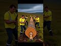 rescue cow from giant log #animals #funny #shorts