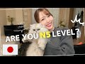 34. If you understand this, you are JLPT N5 level!