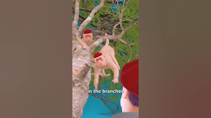 Monkey See, Monkey Do 🤔 (fable)