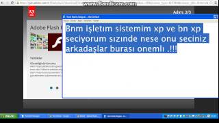 radicall  FlashCtrl hatası Kesin Çözüm 2015