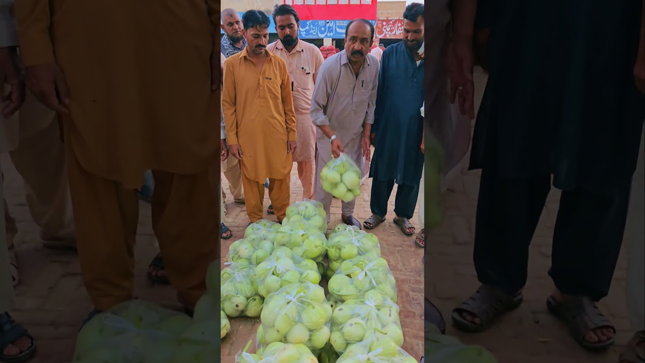 کدو شریف #kado #sabjimandibhav #virralshorts #2millionviews #2025