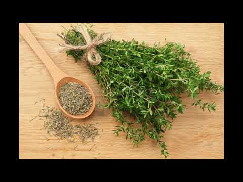 Health Benefits of Thyme (Thymus vulgaris) Herbal plant