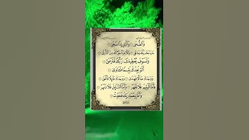 وَضُحًى والٍيْل إِذَا سَجَى ⚘💚أجمل حالات واتس قرآن كريم/ستوريات أنستا Quran status ☘ ♥