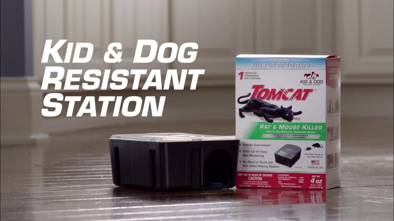 How to Kill Rodents Using the Tomcat® Child & Dog Resistant Rat & Mouse