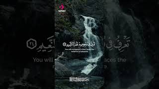 Heart Touching Quran Recitation for Deep Soul Healing and Inner Peace #HolyQuran #Healing