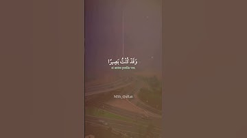 سورة طه ( وَمَنْ أَعْرَضَ عَن ذِكْرِي فَإِنَّ لَهُ مَعِيشَةً ضَنكًا )
