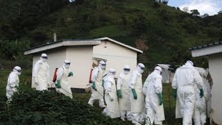 EBOLA UPDATE! 2000 Cases 1069 Dead; PLANE Panic; FOREST; GORRILAS Die 8.14.14 See DESCRIPTION