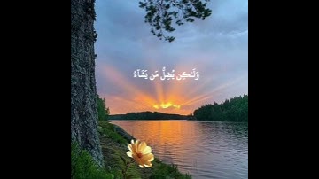 وَلَوۡ شَاۤءَ ٱللَّهُ لَجَعَلَكُمۡ أُمَّةࣰ وَ ٰ⁠حِدَةࣰ|| #تلاوة الشيخ ماهر المعيقلي سورة النخل