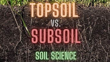 The Differences Between Topsoil & Subsoil