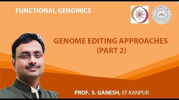 Genome Editing Approaches (Part 2)