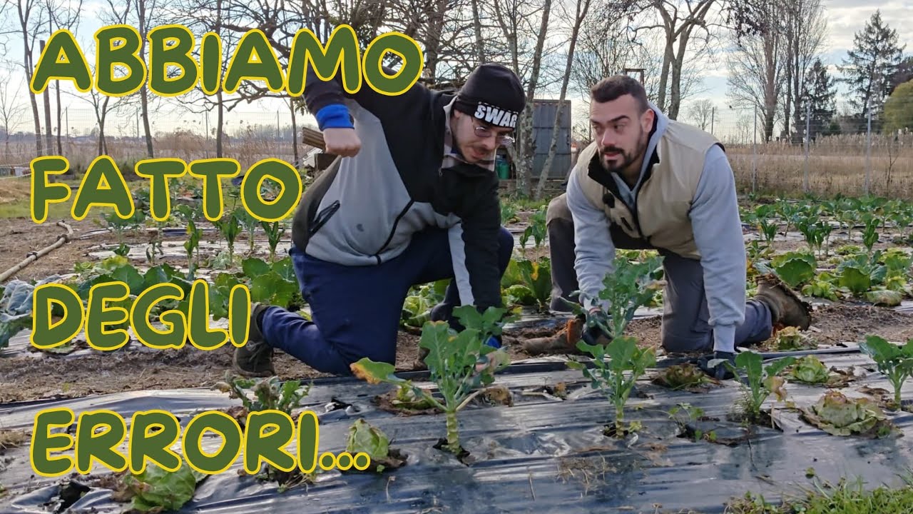 NO DIG: 3 ERRORI che abbiamo fatto (e ora correggiamo) 🌱❌