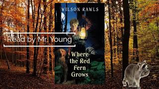 Where the Red Fern Grows: Ch. 16 Audiobook